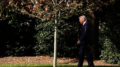 Donald Trump walks outside the White House