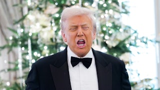 Donald Trump speaks while standing in front of a Christmas tree.