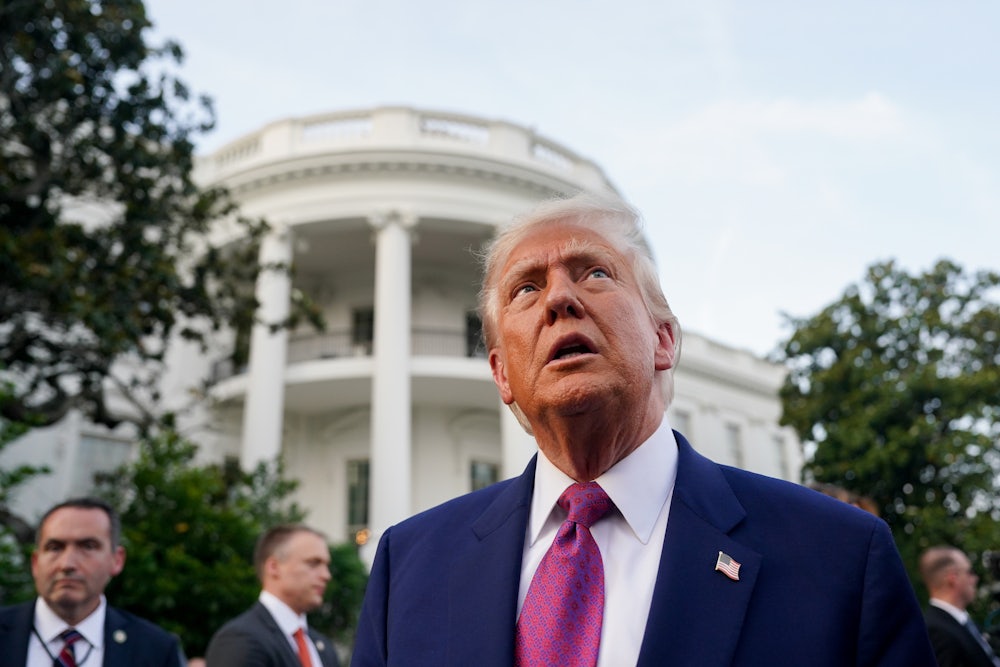 Donald Trump looks at the congressional picnic on the South Lawn of the White House on June 12