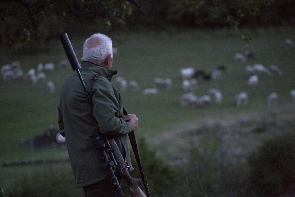 Wolf-catcher Guy Dall’Osto watches for a wolf in Alpes-de-Haute-Provence, France.