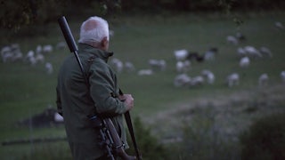 Wolf-catcher Guy Dall’Osto watches for a wolf in Alpes-de-Haute-Provence, France.