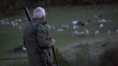 Wolf-catcher Guy Dall’Osto watches for a wolf in Alpes-de-Haute-Provence, France.