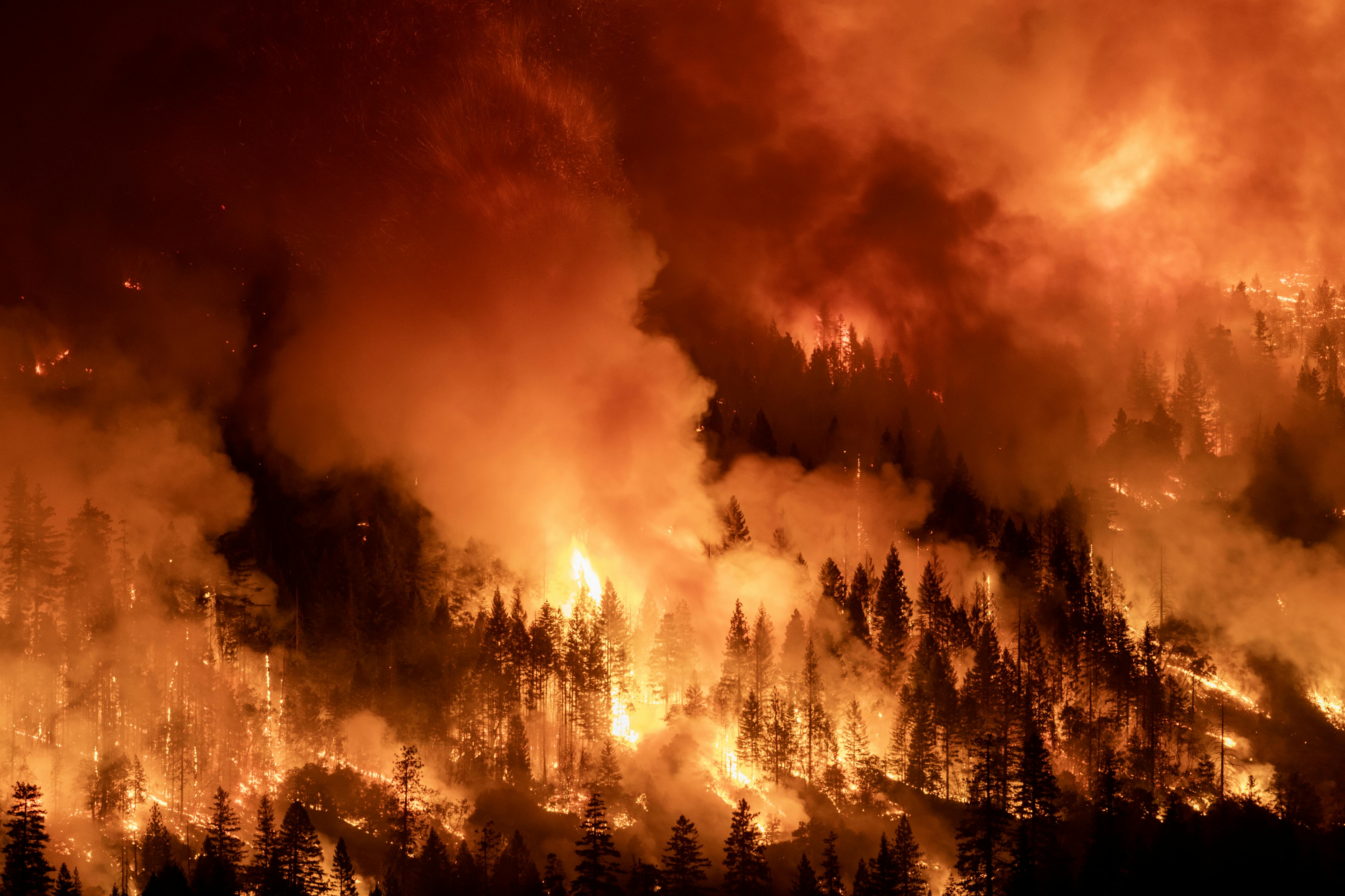 Flames and smoke consume an entire hillside full of trees.