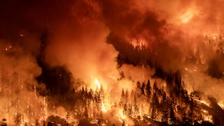 Flames and smoke consume an entire hillside full of trees.