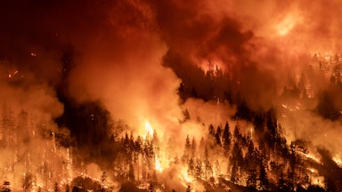 Flames and smoke consume an entire hillside full of trees.