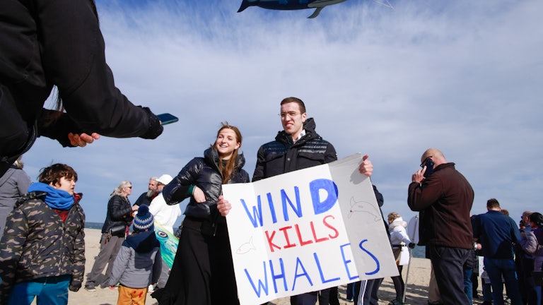 People stand on a beach, with one man holding a sign that says WIND KILLS WHALES. A whale-shaped balloon flies overhead.