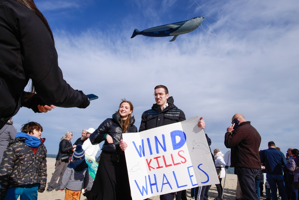 People stand on a beach, with one man holding a sign that says WIND KILLS WHALES. A whale-shaped balloon flies overhead.