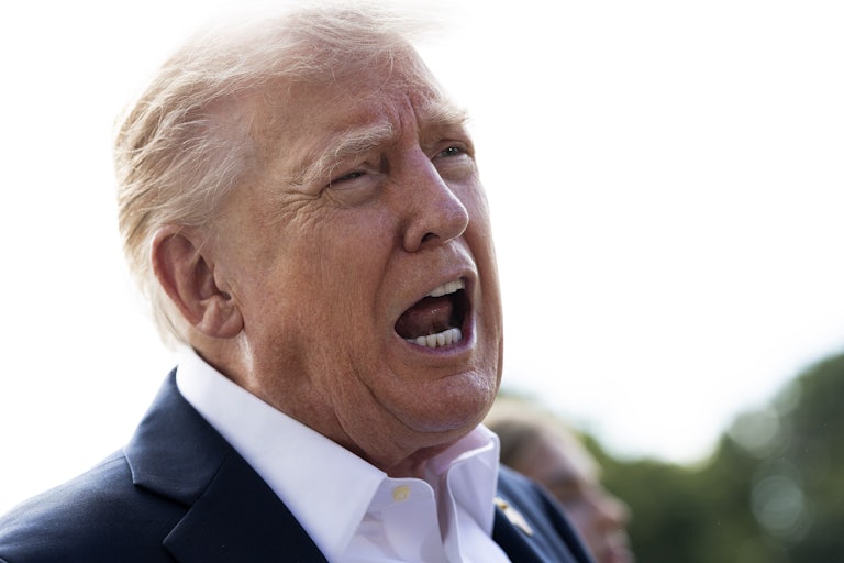 Donald Trump speaks to reporters outside the White House