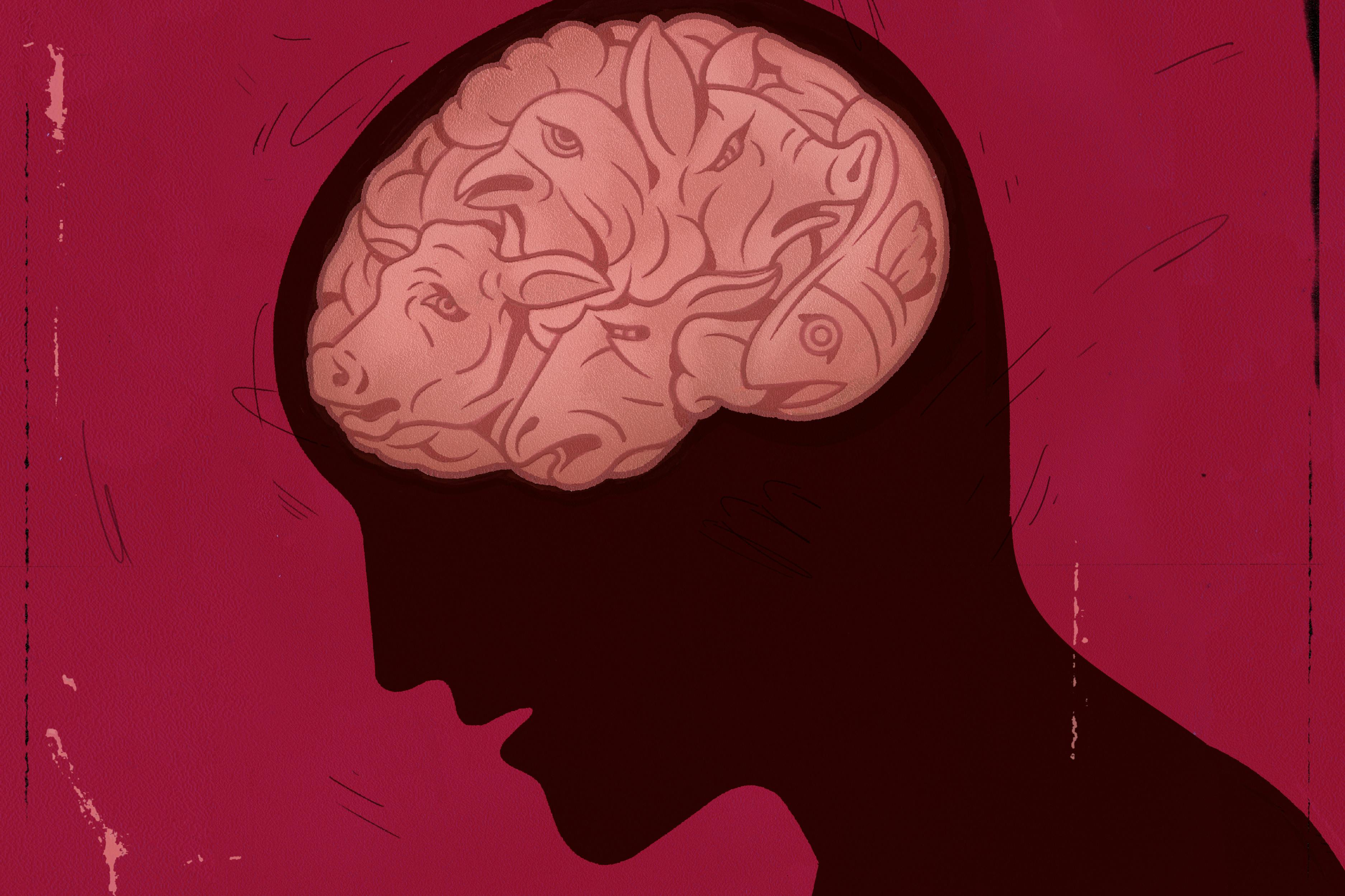 A drawing of a profile of a head with a pink brain made out of sad animals  