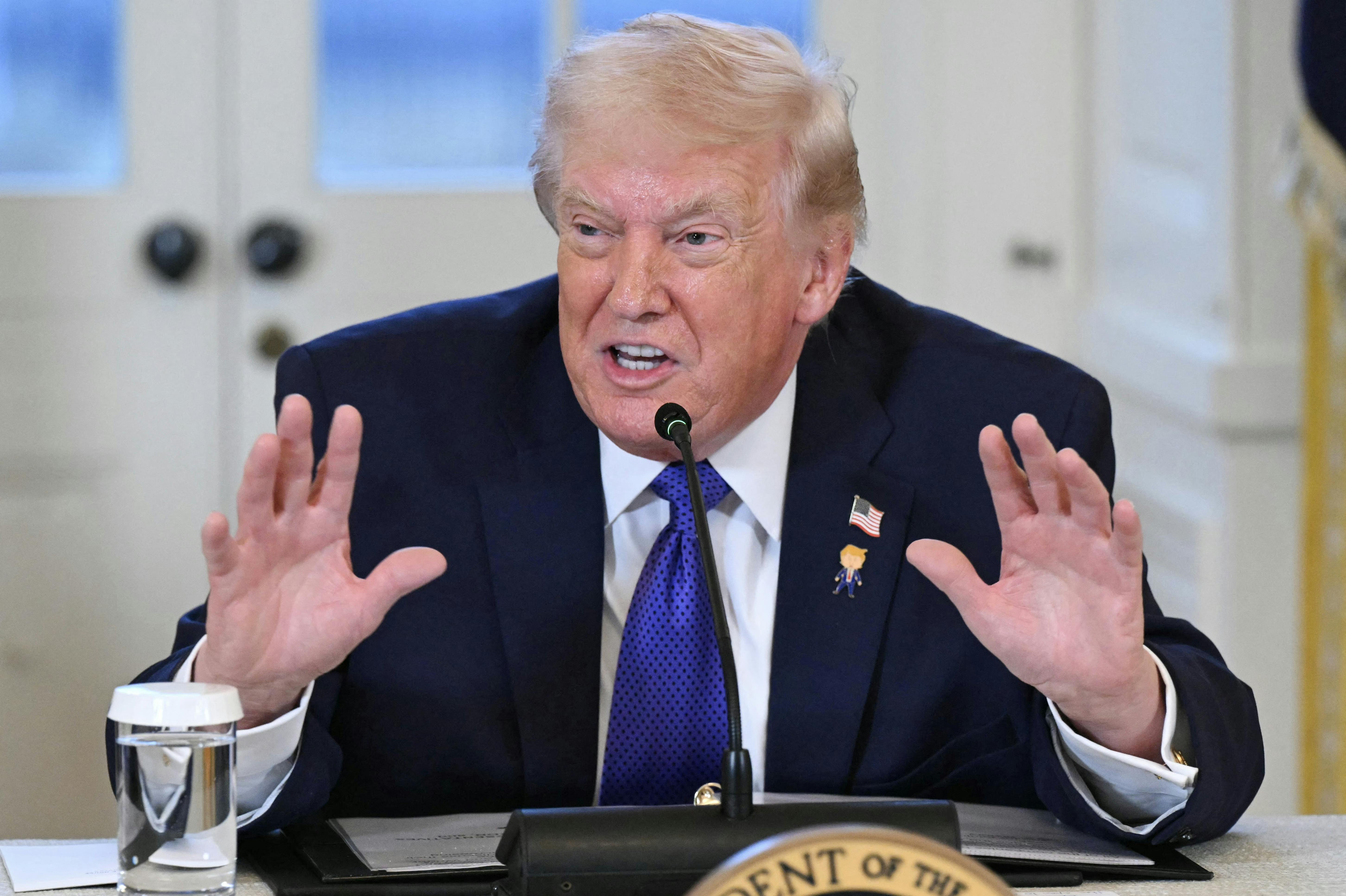 Trump at a White House meeting 