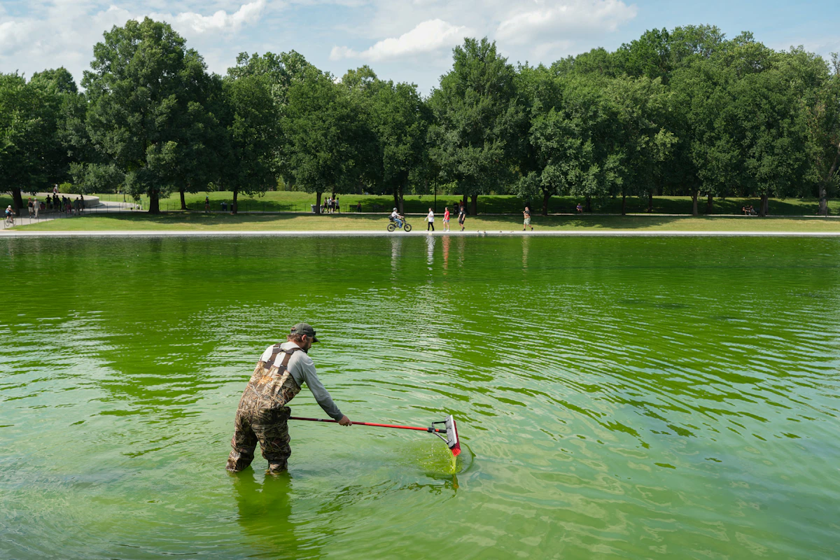 Trump Threatens Prison Time as Reflecting Pool Disaster Gets Worse