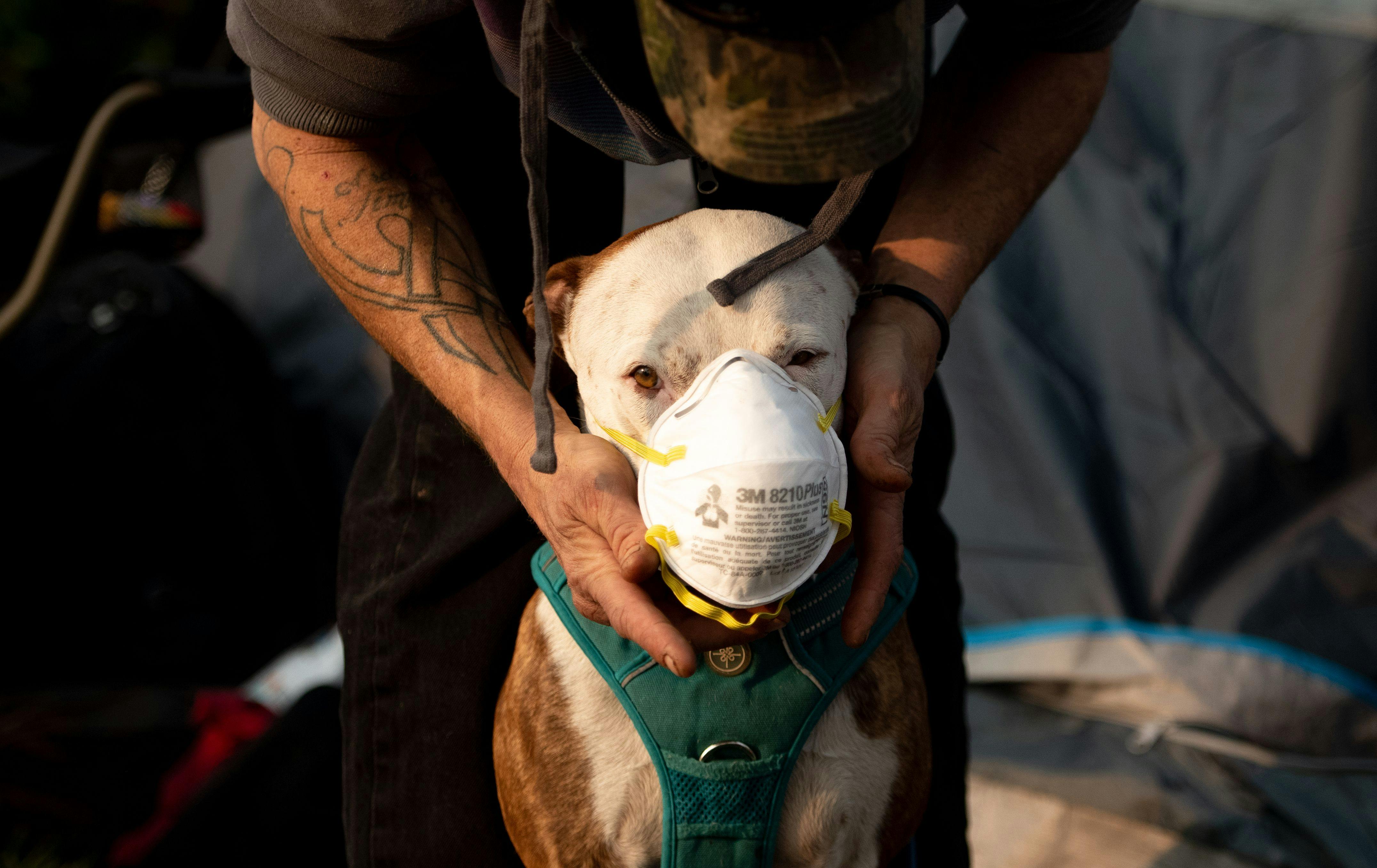 Wildfire Smoke Could Shorten Californian Lifespans