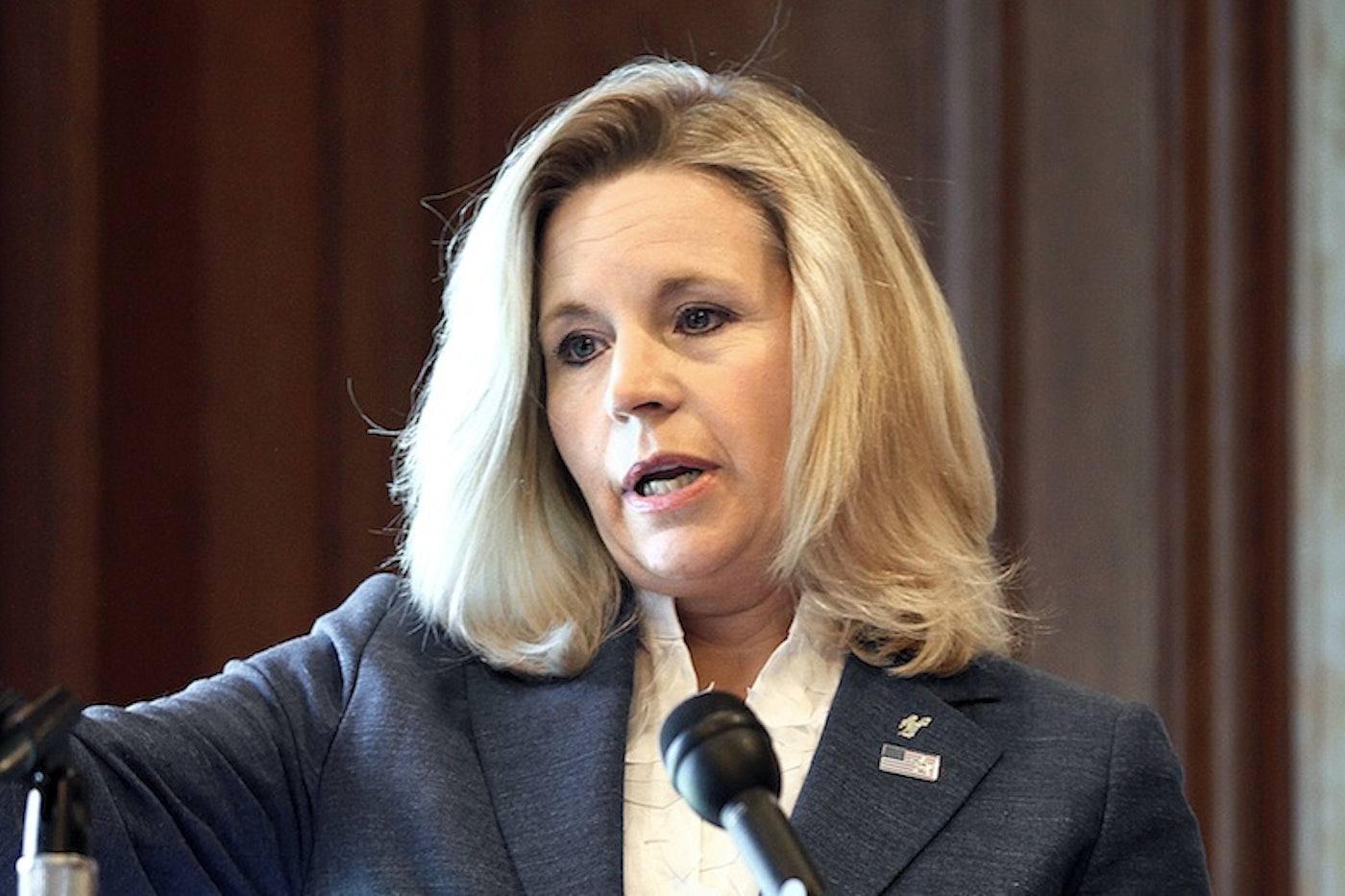 Liz Cheney's Wyoming Flame-Out Was a Result of Her Cable-TV Style | The