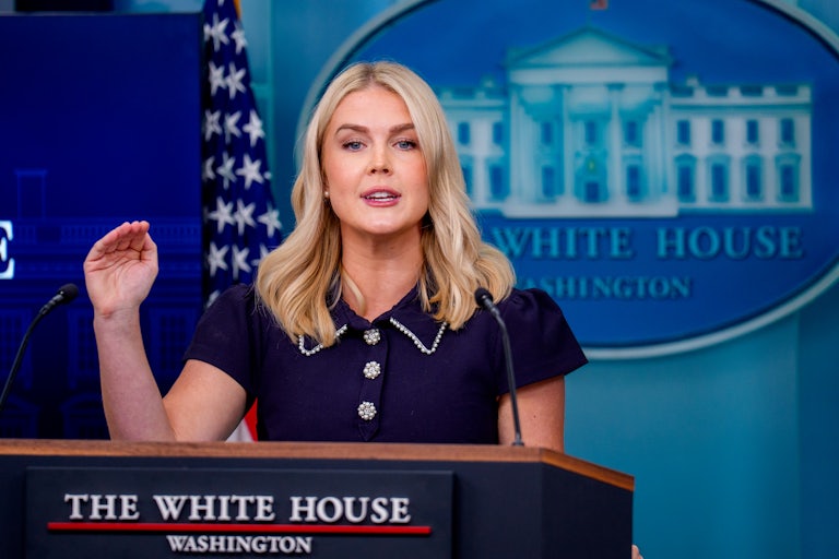 White House Press Secretary Karoline Leavitt addresses reporters at a press conference on August 12.