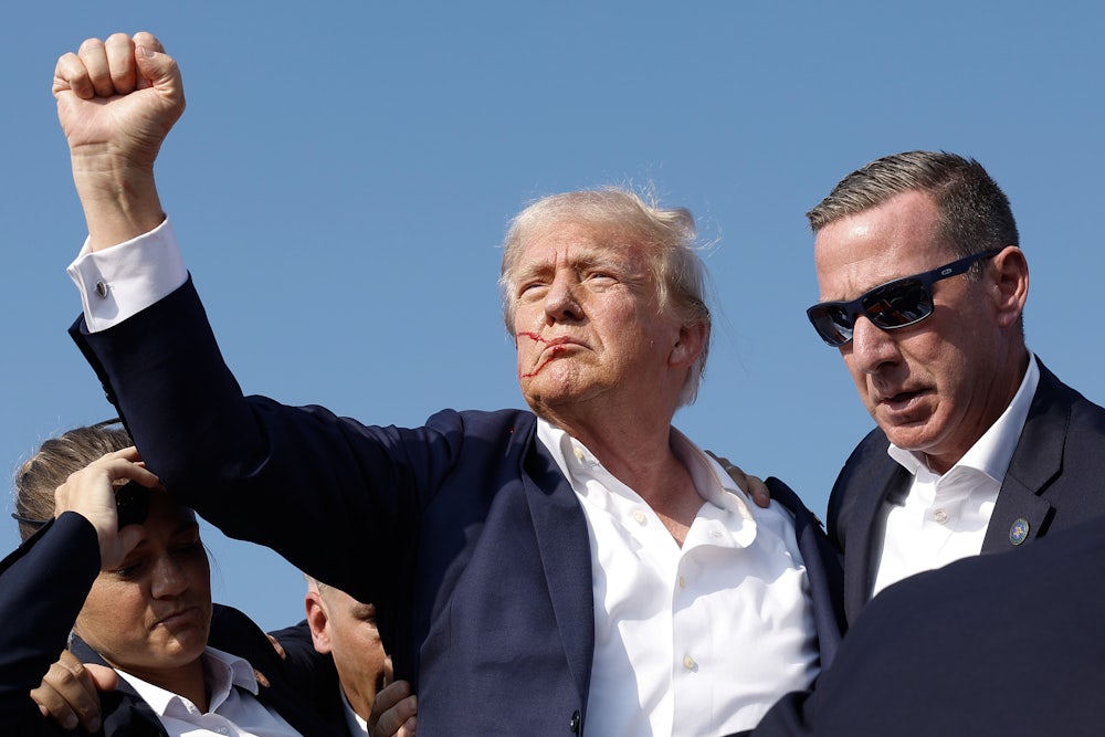 Donald Trump raises fist in the air as blood is visible on his cheek