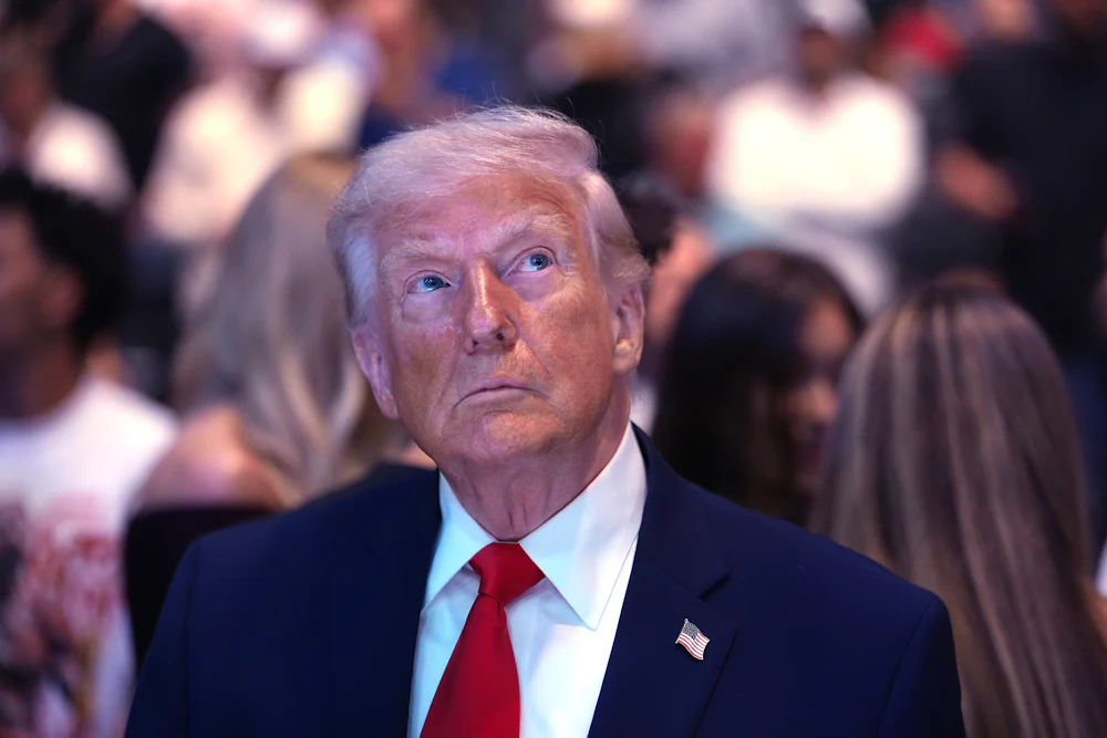 Donald Trump gazes upward