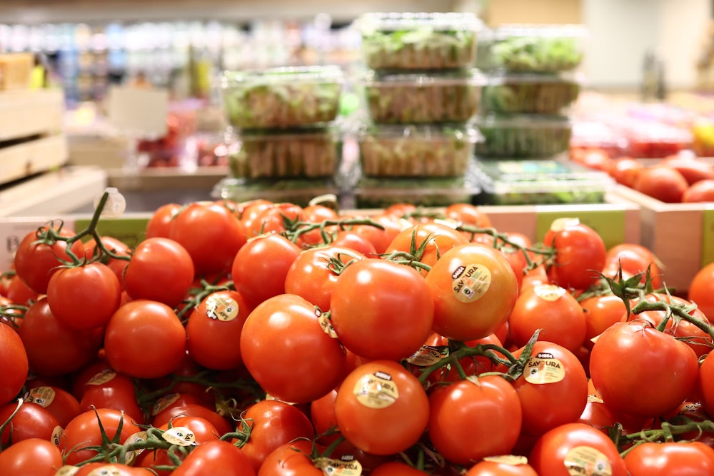 Tomatoes sit in a bin with packaged greens behind them.