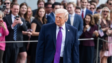 Donald Trump stands outside the White House