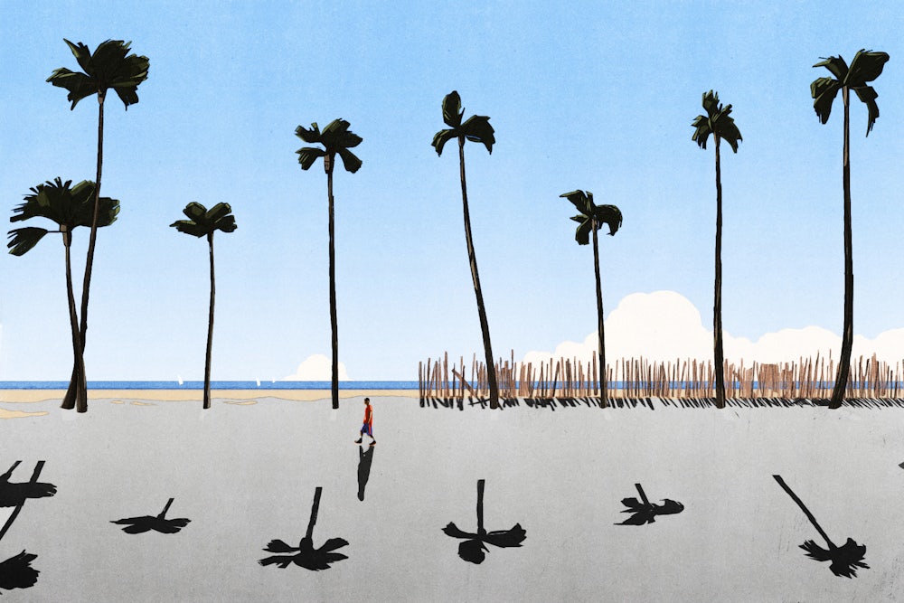 An illustration that shows palm trees in Los Angeles missing some their shadows, symbolizing the fact that many residents don't have access to shade