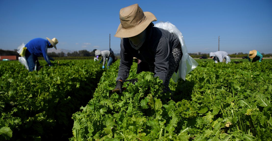Work Really Sucks When It’s Hot Work Really Sucks When It’s Hot