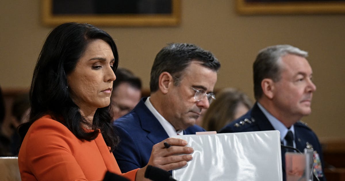 Signalgate Can Teach Democrats How to Take Down Elon Musk