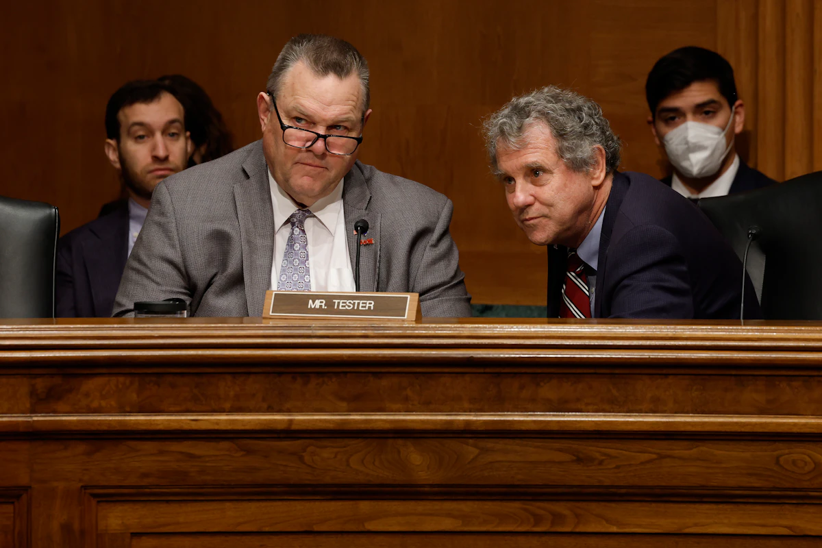 The Democratic Senators Whose Defeats Hint at the Party’s Future The Democratic Senators Whose Defeats Hint at the Party’s Future