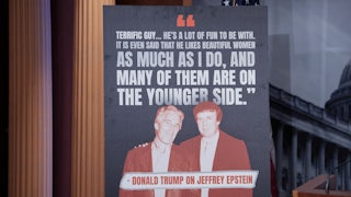Sign with Trump quote about Epstein: "Terrific guy... He's a lot of fun to be with. It is even said that he likes beautiful women as much as I do, and many of them are on the younger side." Old photo of the two of them smiling.