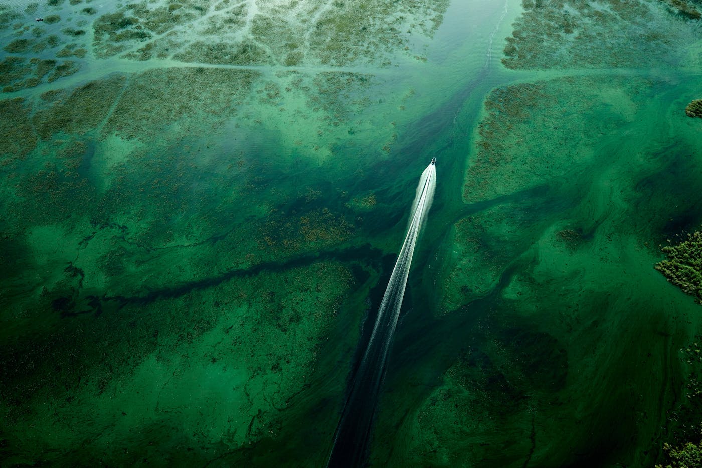 Fishermen navigated a toxic algae bloom on Lake Okeechobee in July 2018. 
