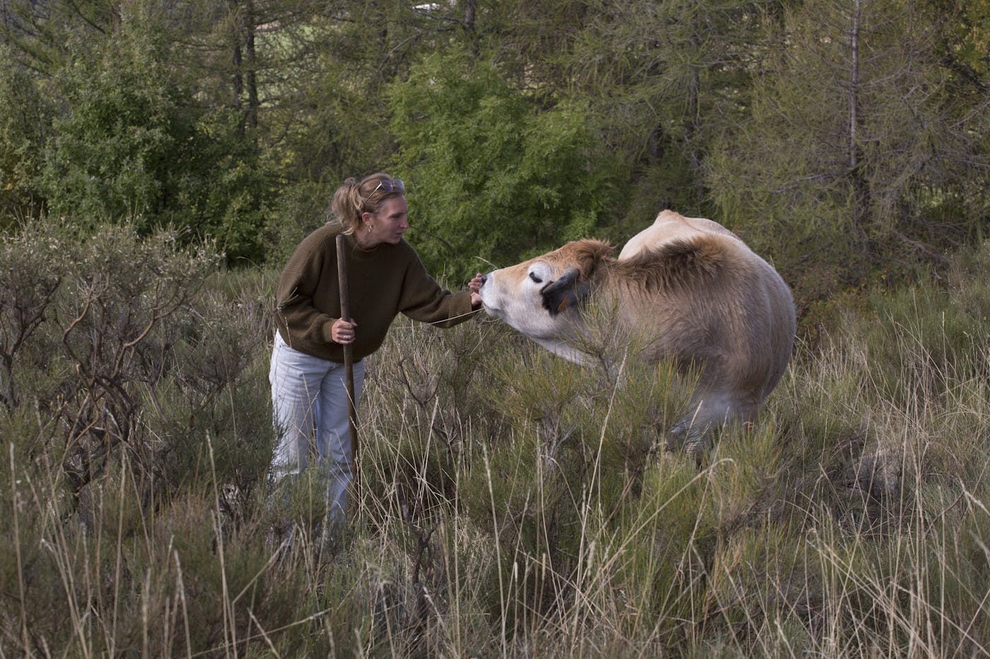 Elia Pergolizzi, a cattle farmer in Authon, France, didn’t use to believe in shooting wolves. Then a wolf disemboweled one of her pregnant cows.