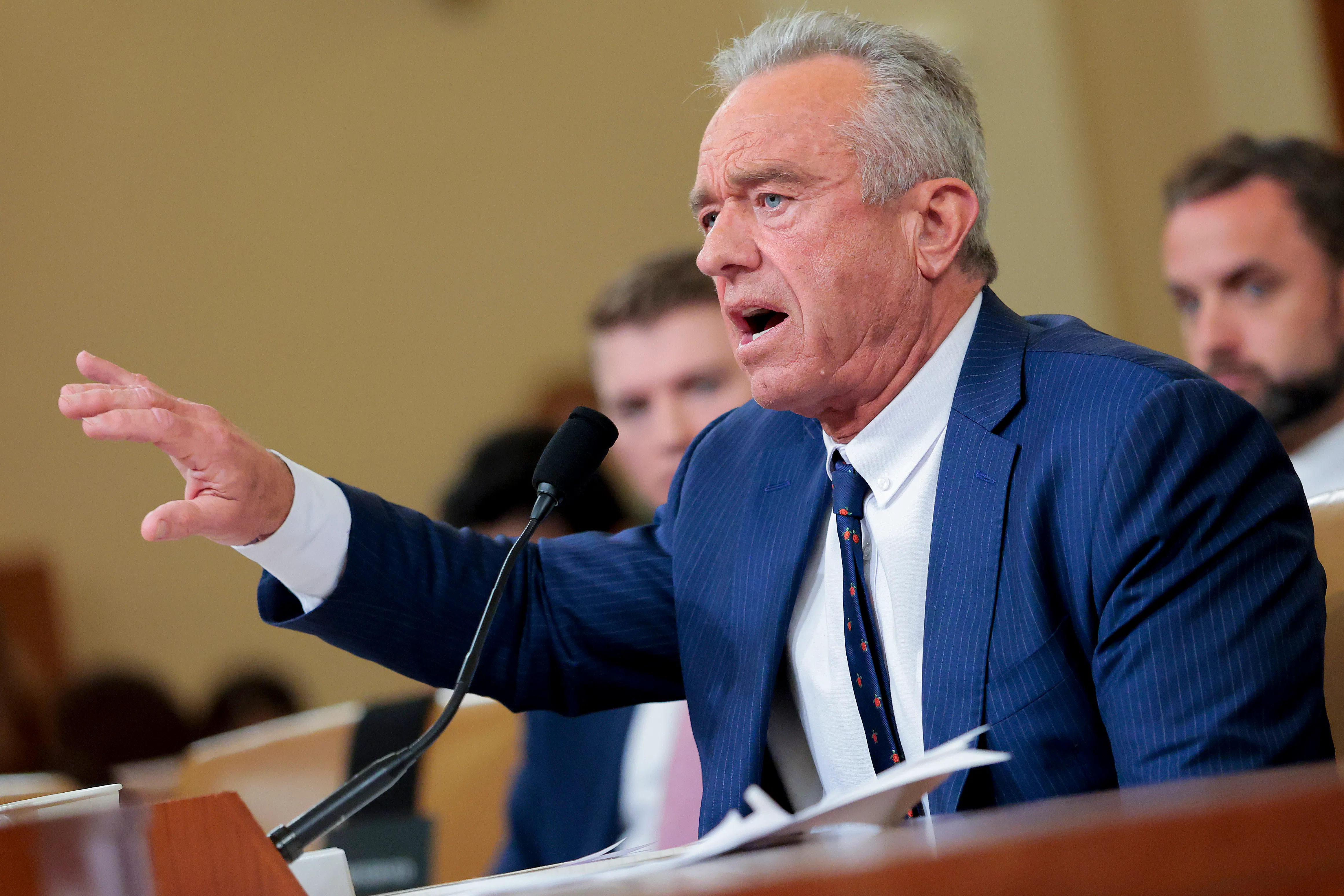 Robert F. Kennedy Jr. in a congressional hearing