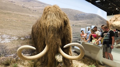 People look at a life-size reproduction of a woolly mammoth.