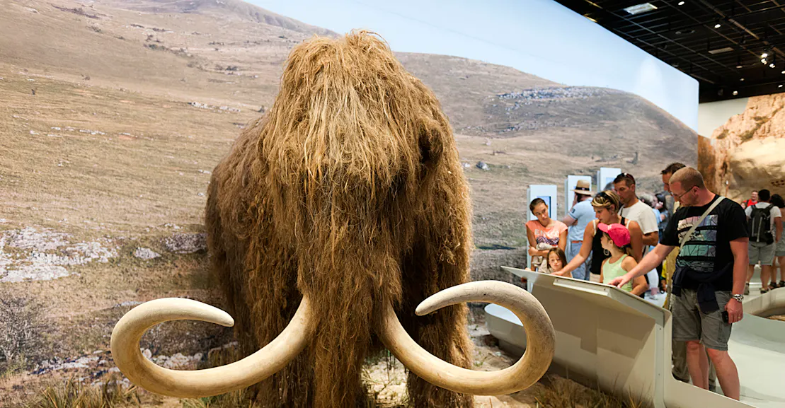 The De-Extinction of the Woolly Mammoth Is a Legal and Regulatory Nightmare The De-Extinction of the Woolly Mammoth Is a Legal and Regulatory Nightmare