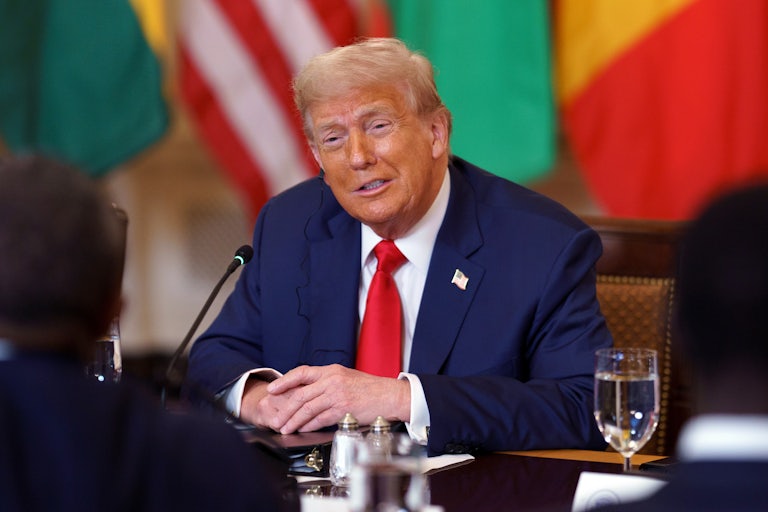 Donald Trump sits at a meeting with African leaders. (The U.S. flag and several African flags are behind him.)