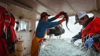 Commercial fishermen off the coast of Maine