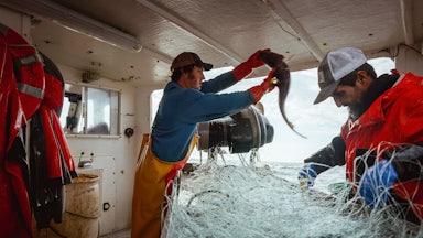 Commercial fishermen off the coast of Maine