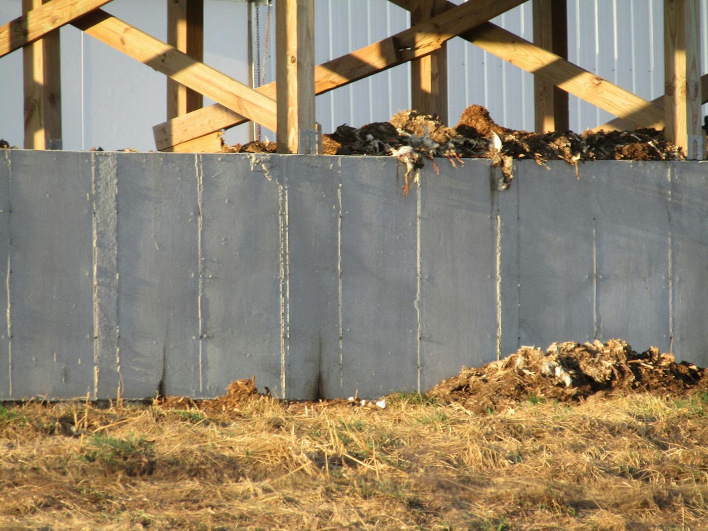 Amid Bird Flu Outbreak, Meat Producers Seek “Ventilation Shutdown” to  Mass-Suffocate Chickens