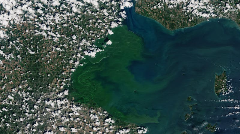 Lake Erie, S. Florida algae crises share common toxins and causes