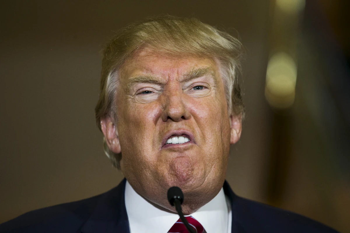 How Can This Country Possibly Be Electing Trump Again? How Can This Country Possibly Be Electing Trump Again?
