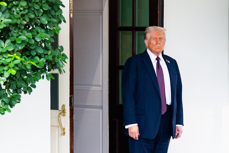 Donald Trump stands outside the White House