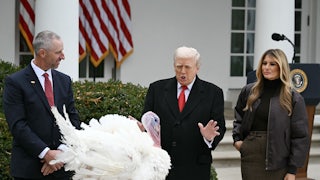 Donald Trump waves his hands and speaks to a turkey during the turkey pardon at the White House. Melania Trump stands next to him.