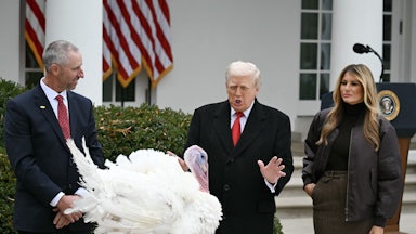 Donald Trump waves his hands and speaks to a turkey during the turkey pardon at the White House. Melania Trump stands next to him.