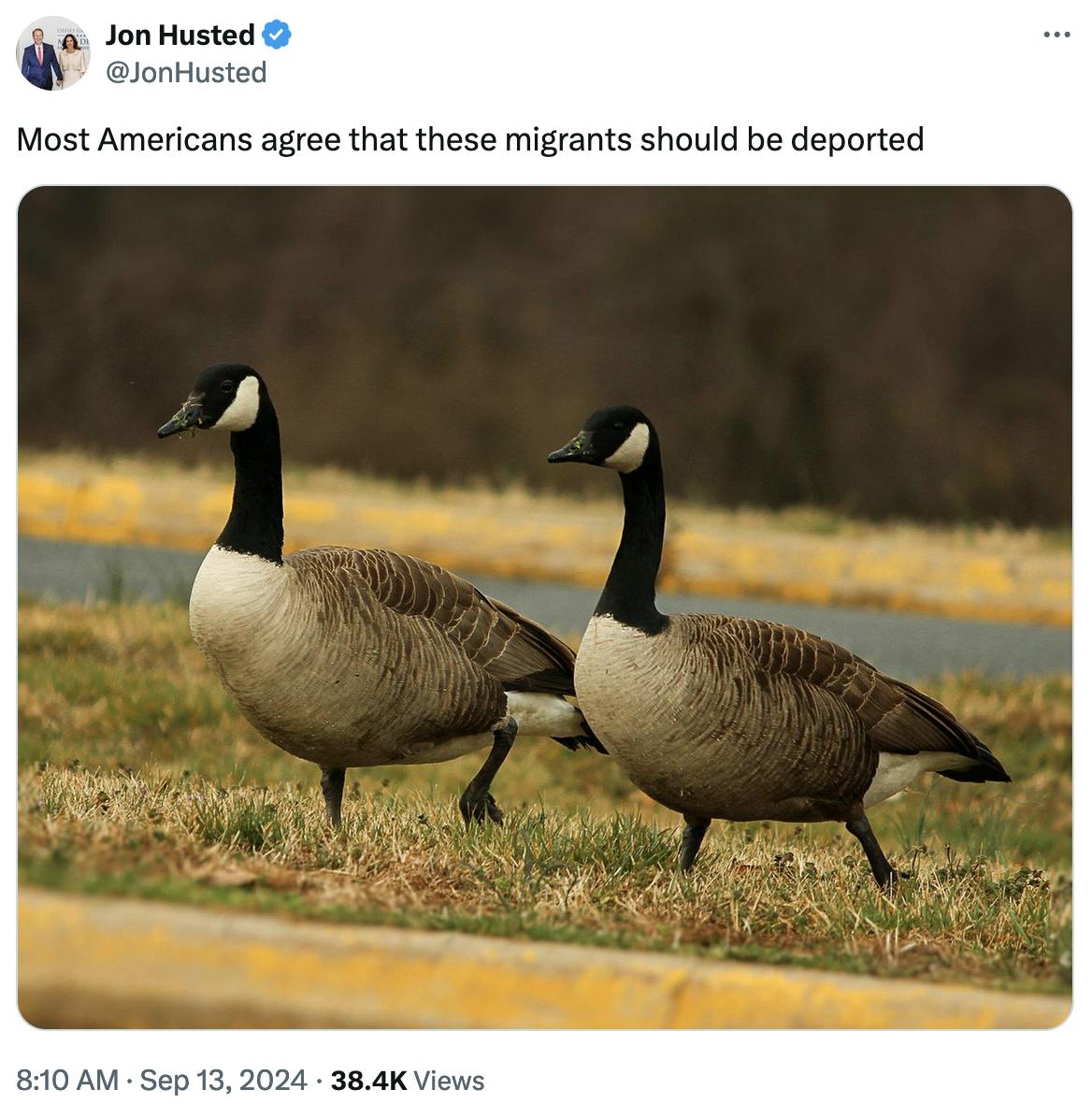 Twitter screenshot Jon Husted @JonHusted: Most Americans agree that these migrants should be deported (photo of two geese)