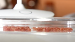 Lab-grown meat at the Disgusting Food Museum in LA