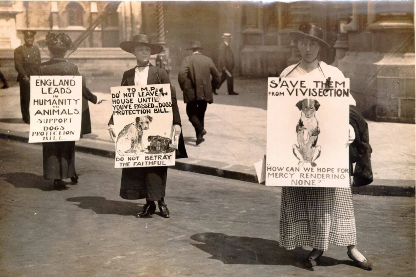 A photograph from 1903 of Anti-vivisection campaigners demonstrating in England 