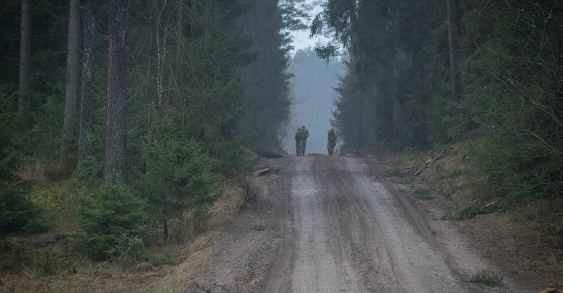 Ghosts Of War In A Wisconsin Forest The New Republic Ghosts Of War In A Wisconsin Forest The New Republic