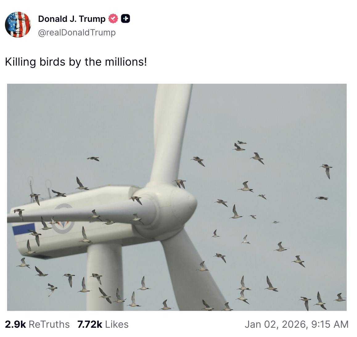 Truth Social screenshot Donald J. Trump @realDonaldTrump: Killing birds by the millions! (photo of a turbine and lots of birds around it) Jan 02, 2026, 9:15 AM