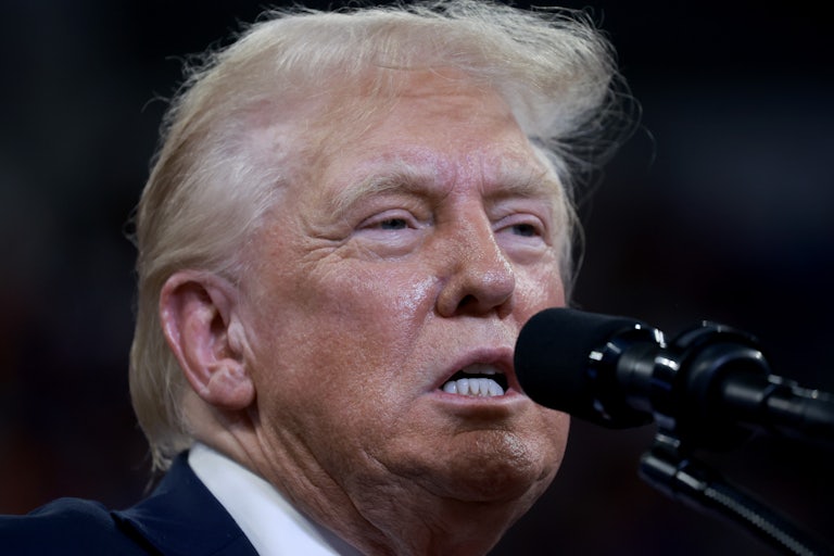 Donald Trump speaks into a microphone at a campaign rally