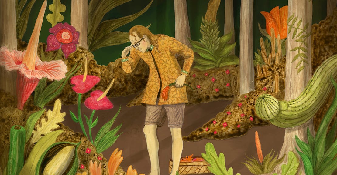 An Herbal Viagra Scam and the Hard Truth About the Dietary Supplement Industry An Herbal Viagra Scam and the Hard Truth About the Dietary Supplement Industry