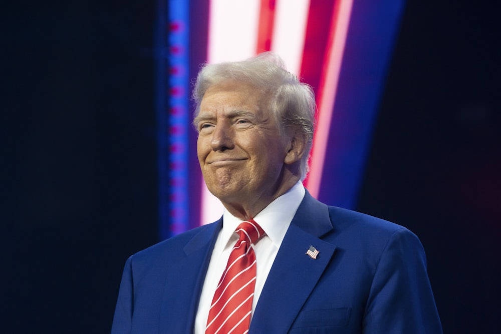 Donald Trump smiles