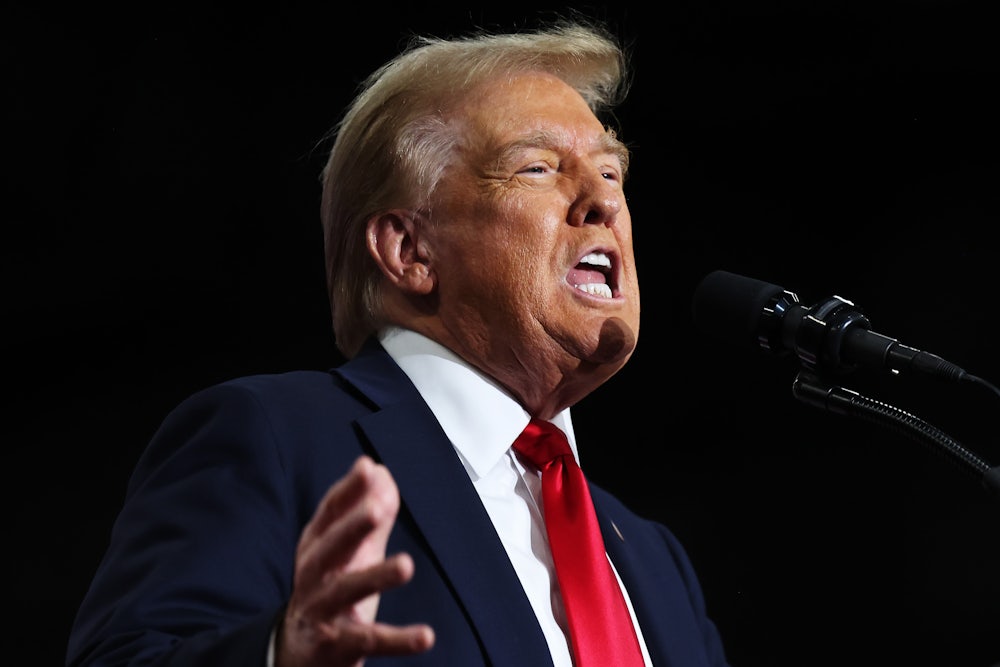 Donald Trump yells into a microphone